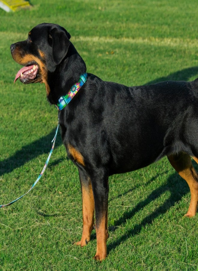 كانتري بروك ديزاين طوق مارتينجال عريض للكلاب من Country Brook Petz - HossFit Jr - مجموعة رائعة تتميز بتصاميم مميزة (زهور مصبوغة بربطة عنق، متوسط) - Image 3